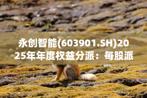 永创智能(603901.SH)2025年年度权益分派：每股派利0.08元