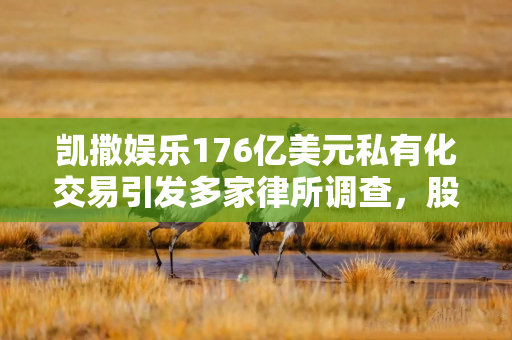 凯撒娱乐176亿美元私有化交易引发多家律所调查，股东质疑定价公允性