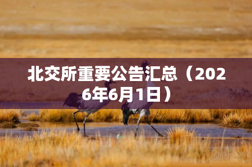 北交所重要公告汇总（2026年6月1日）