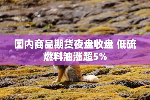 国内商品期货夜盘收盘 低硫燃料油涨超5%