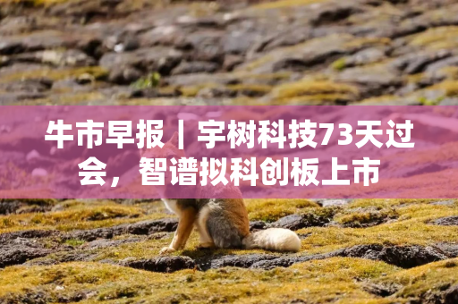 牛市早报｜宇树科技73天过会，智谱拟科创板上市