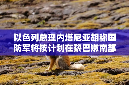 以色列总理内塔尼亚胡称国防军将按计划在黎巴嫩南部开展行动