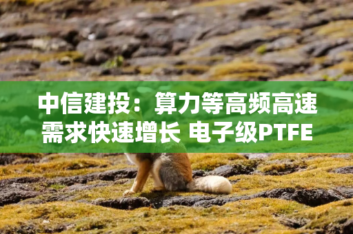 中信建投：算力等高频高速需求快速增长 电子级PTFE有望大规模应用