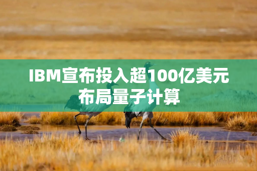 IBM宣布投入超100亿美元布局量子计算