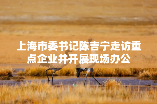上海市委书记陈吉宁走访重点企业并开展现场办公