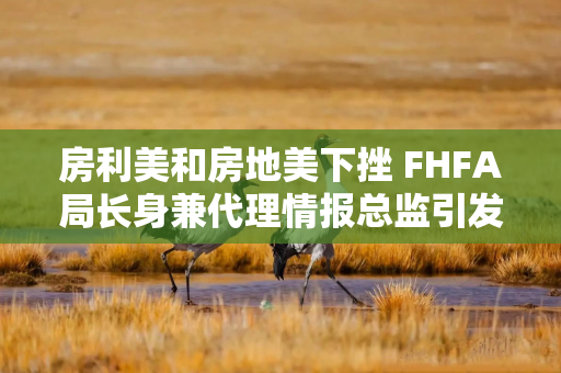 房利美和房地美下挫 FHFA局长身兼代理情报总监引发质疑