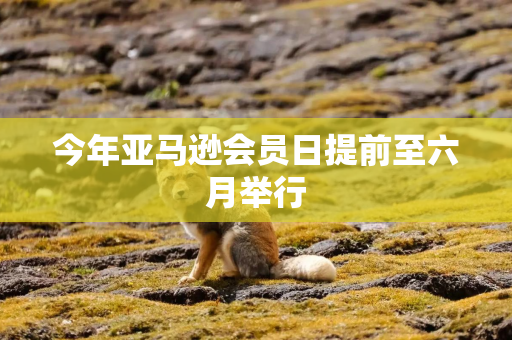 今年亚马逊会员日提前至六月举行