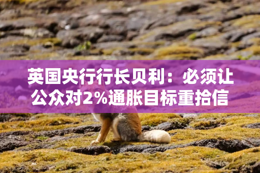 英国央行行长贝利：必须让公众对2%通胀目标重拾信心