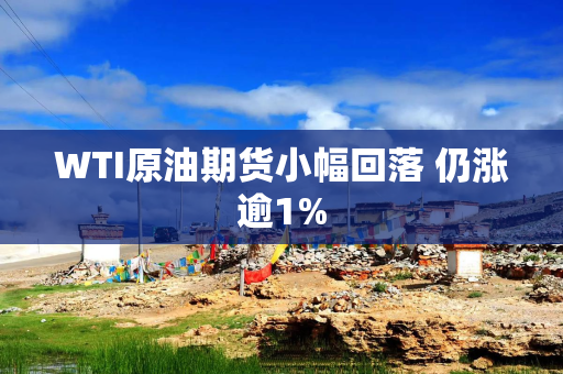 WTI原油期货小幅回落 仍涨逾1%