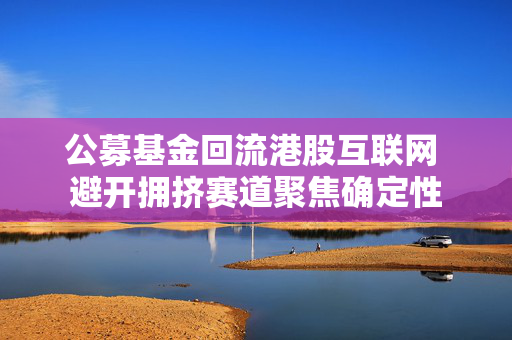 公募基金回流港股互联网 避开拥挤赛道聚焦确定性