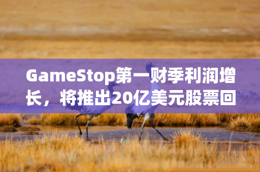 GameStop第一财季利润增长，将推出20亿美元股票回购计划