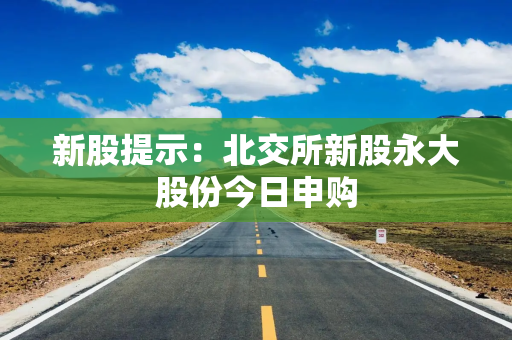 新股提示：北交所新股永大股份今日申购