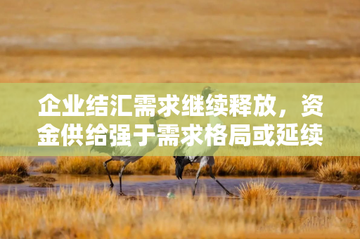 企业结汇需求继续释放，资金供给强于需求格局或延续