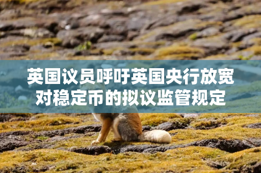 英国议员呼吁英国央行放宽对稳定币的拟议监管规定