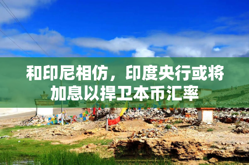 和印尼相仿,印度央行或将加息以捍卫本币汇率 和印尼相仿,印度央行或将加息以捍卫本币汇率