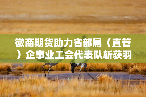 徽商期货助力省部属（直管）企事业工会代表队斩获羽毛球赛冠军