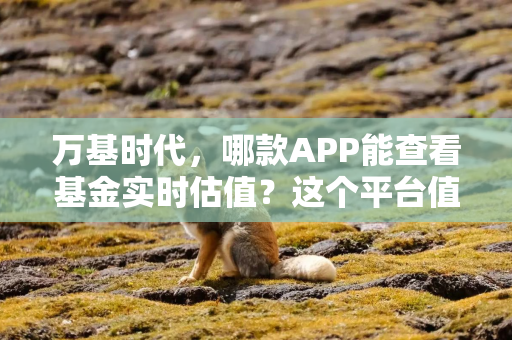 万基时代，哪款APP能查看基金实时估值？这个平台值得拥有