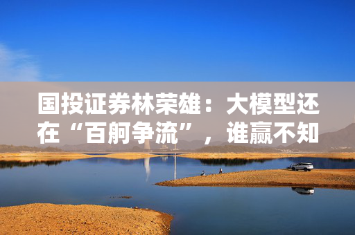 国投证券林荣雄：大模型还在“百舸争流”，谁赢不知道