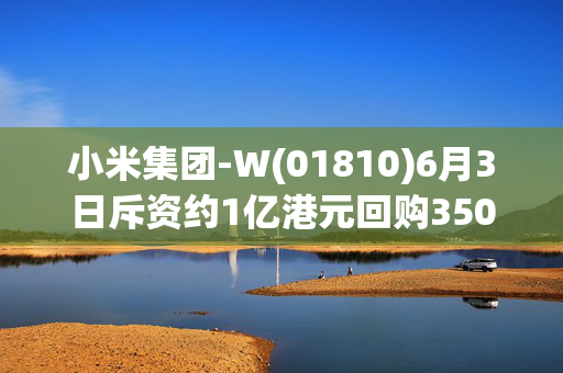 小米集团-W(01810)6月3日斥资约1亿港元回购350万股