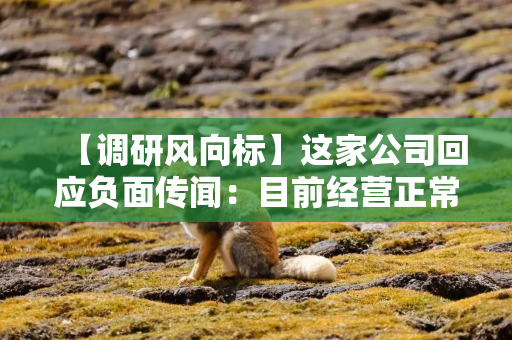 【调研风向标】这家公司回应负面传闻：目前经营正常，高端光模块订单充足
