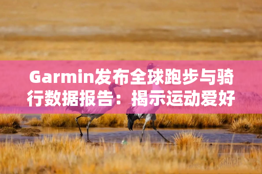 Garmin发布全球跑步与骑行数据报告：揭示运动爱好者行为新趋势