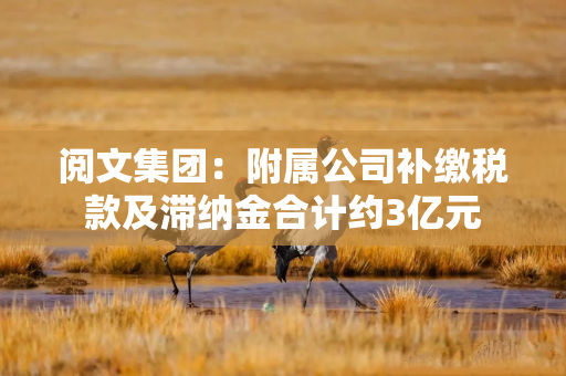 阅文集团：附属公司补缴税款及滞纳金合计约3亿元