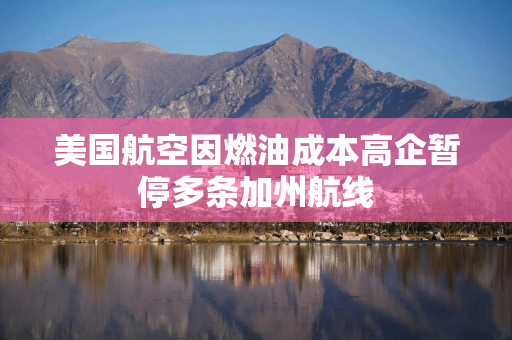 美国航空因燃油成本高企暂停多条加州航线