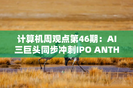 计算机周观点第46期：AI三巨头同步冲刺IPO ANTHROPIC新模型遭出口管制