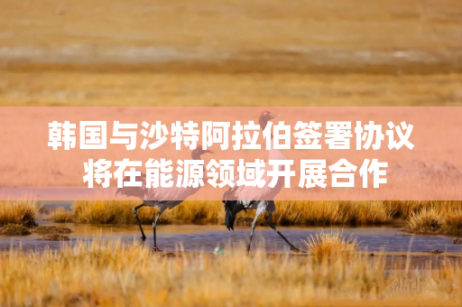 韩国与沙特阿拉伯签署协议 将在能源领域开展合作