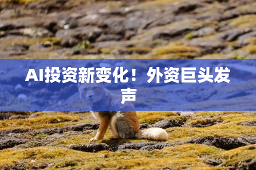 AI投资新变化！外资巨头发声
