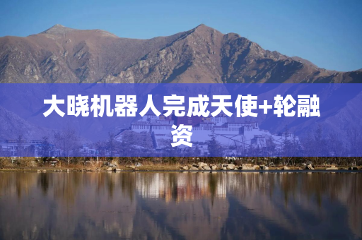 大晓机器人完成天使+轮融资