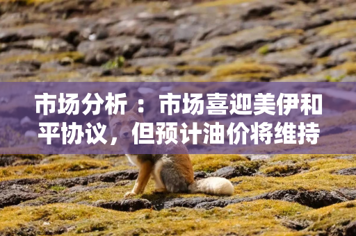 市场分析 :市场喜迎美伊和平协议,但预计油价将维持于高位 市场分析 :市场喜迎美伊和平协议,但预计油价将维持于高位