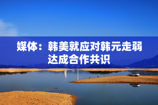 媒体：韩美就应对韩元走弱达成合作共识