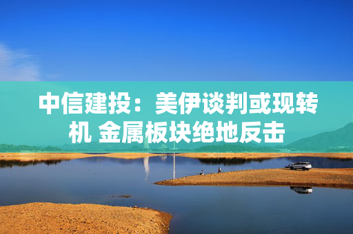 中信建投:美伊谈判或现转机 金属板块绝地反击 中信建投:美伊谈判或现转机 金属板块绝地反击