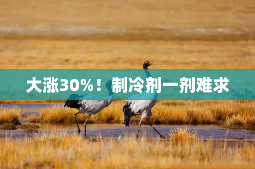 大涨30%！制冷剂一剂难求
