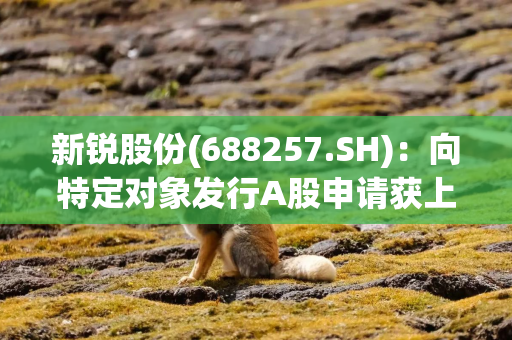 新锐股份(688257.SH)：向特定对象发行A股申请获上交所审核通过