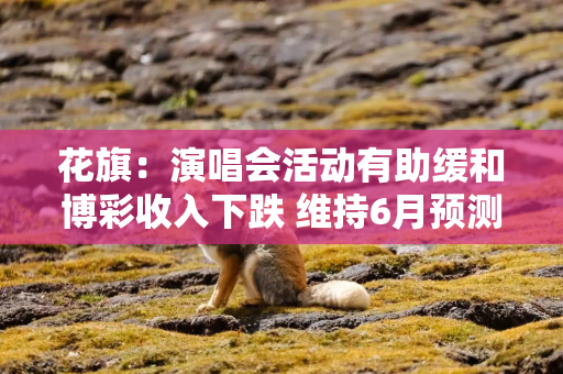 花旗：演唱会活动有助缓和博彩收入下跌 维持6月预测为190亿澳门元