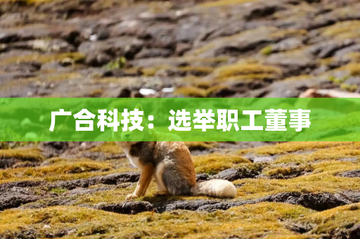 广合科技：选举职工董事