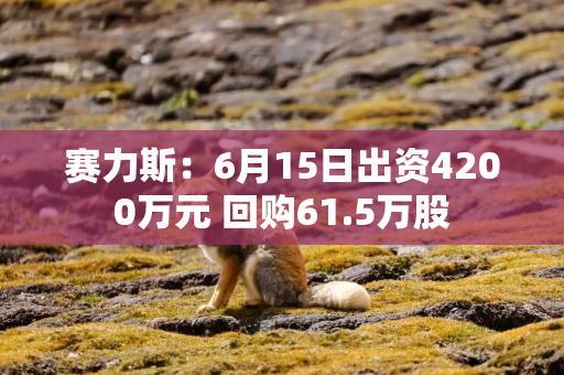 赛力斯：6月15日出资4200万元 回购61.5万股
