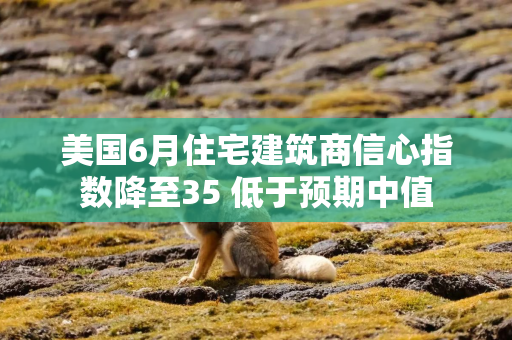 美国6月住宅建筑商信心指数降至35 低于预期中值 美国6月住宅建筑商信心指数降至35 低于预期中值