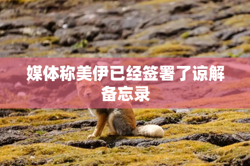 媒体称美伊已经签署了谅解备忘录