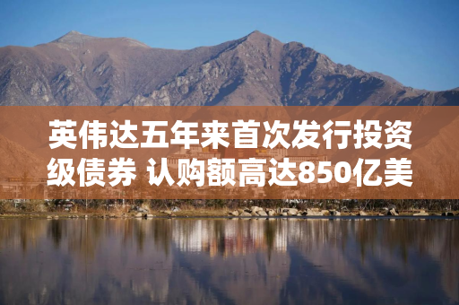 英伟达五年来首次发行投资级债券 认购额高达850亿美元