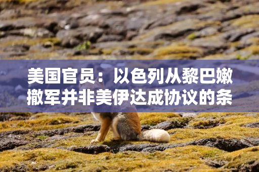 美国官员:以色列从黎巴嫩撤军并非美伊达成协议的条件 美国官员:以色列从黎巴嫩撤军并非美伊达成协议的条件