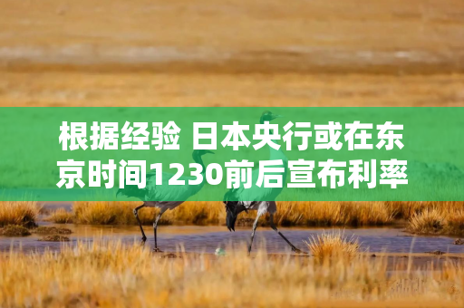 根据经验 日本央行或在东京时间1230前后宣布利率决定