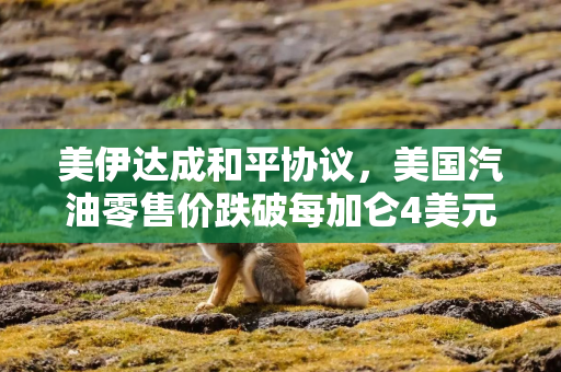 美伊达成和平协议,美国汽油零售价跌破每加仑4美元 美伊达成和平协议,美国汽油零售价跌破每加仑4美元
