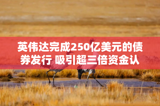 英伟达完成250亿美元的债券发行 吸引超三倍资金认购