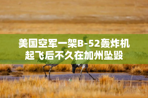 美国空军一架B-52轰炸机起飞后不久在加州坠毁