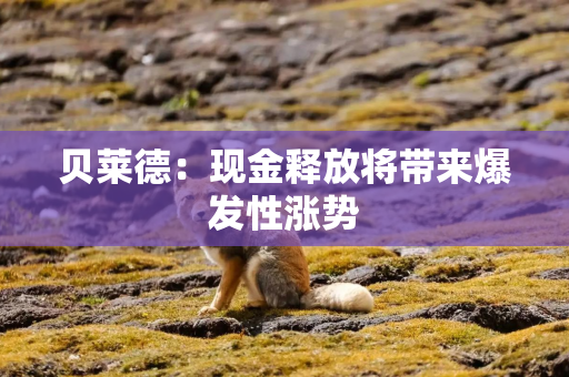 贝莱德：现金释放将带来爆发性涨势