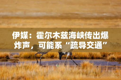 伊媒：霍尔木兹海峡传出爆炸声，可能系“疏导交通”所致