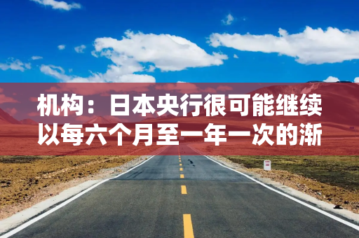 机构：日本央行很可能继续以每六个月至一年一次的渐进节奏加息